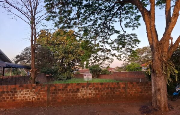 WhatsApp Image 2025-09-24 at 12.09.03 (1)