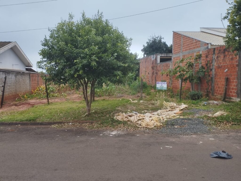 WhatsApp Image 2025-09-24 at 12.28.13