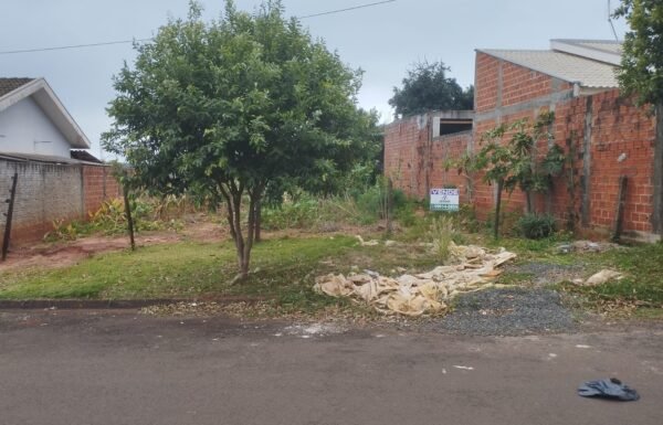 WhatsApp Image 2025-09-24 at 12.28.13