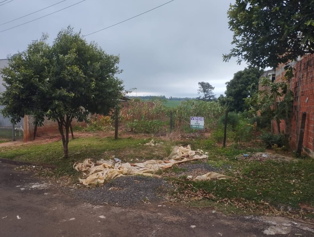 WhatsApp Image 2025-09-24 at 12.28.14