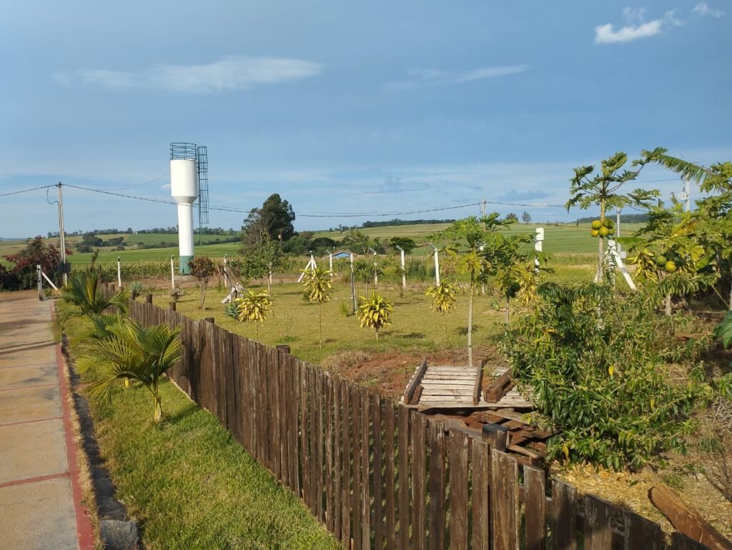 WhatsApp Image 2025-09-24 at 12.40.45