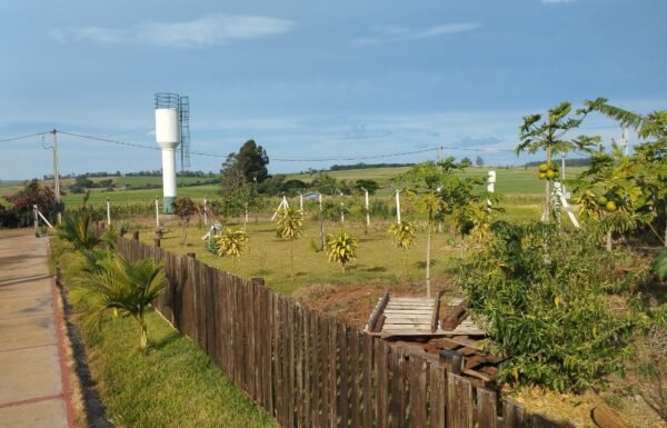 WhatsApp Image 2025-09-24 at 12.40.45