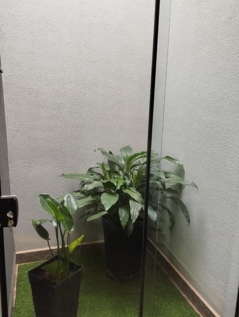 WhatsApp Image 2025-09-24 at 12.42.19