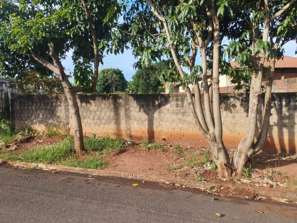 WhatsApp Image 2025-09-24 at 12.46.43