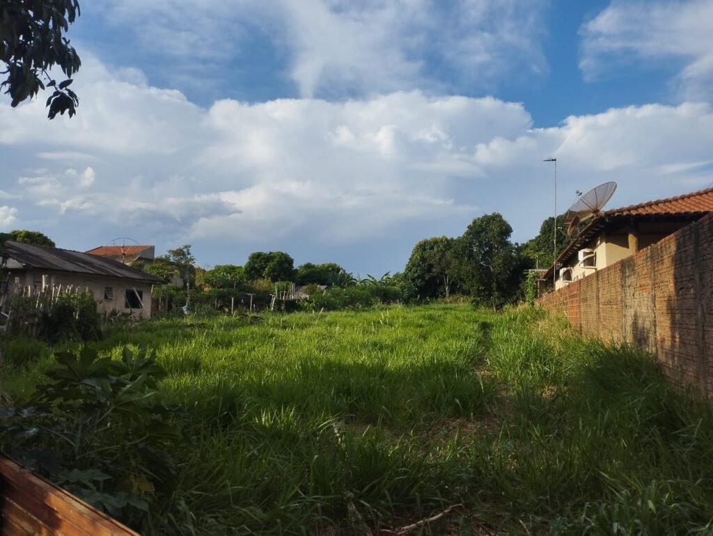 WhatsApp Image 2025-09-24 at 12.46.48