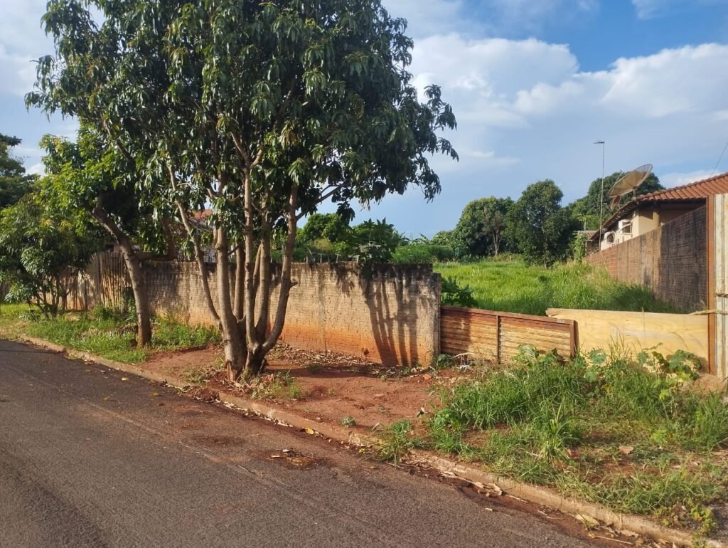 WhatsApp Image 2025-09-24 at 12.46.49