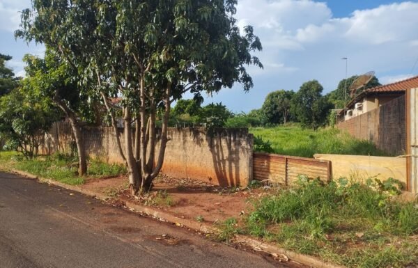 WhatsApp Image 2025-09-24 at 12.46.49