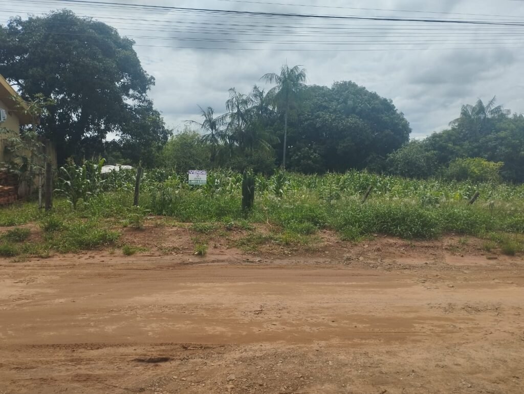 WhatsApp Image 2025-09-24 at 12.49.27