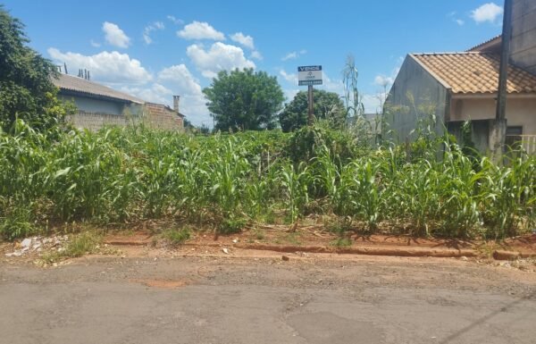 WhatsApp Image 2025-09-24 at 12.51.31