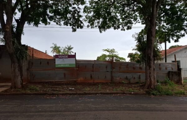 WhatsApp Image 2025-11-05 at 14.51.05