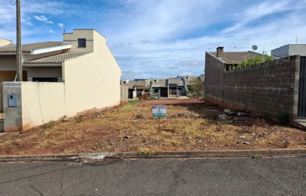 WhatsApp Image 2025-11-13 at 12.12.03 (1)