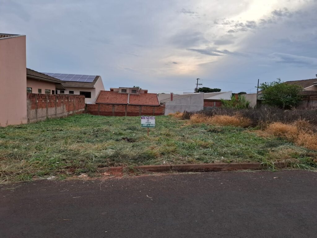 WhatsApp Image 2025-11-13 at 12.12.57