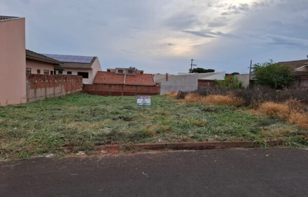 WhatsApp Image 2025-11-13 at 12.12.57